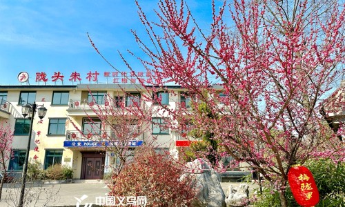 煅牡蛎20克多少钱-煅牡蛎的价格网 - 煅牡蛎的价格多少钱一斤,煅牡蛎的药效